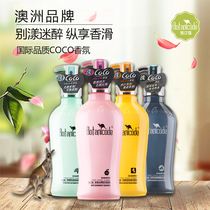 500ml -- 750ml Australian Bartine to scrap the itch control oil scented to moisten the perfume shampoo lasting Remain