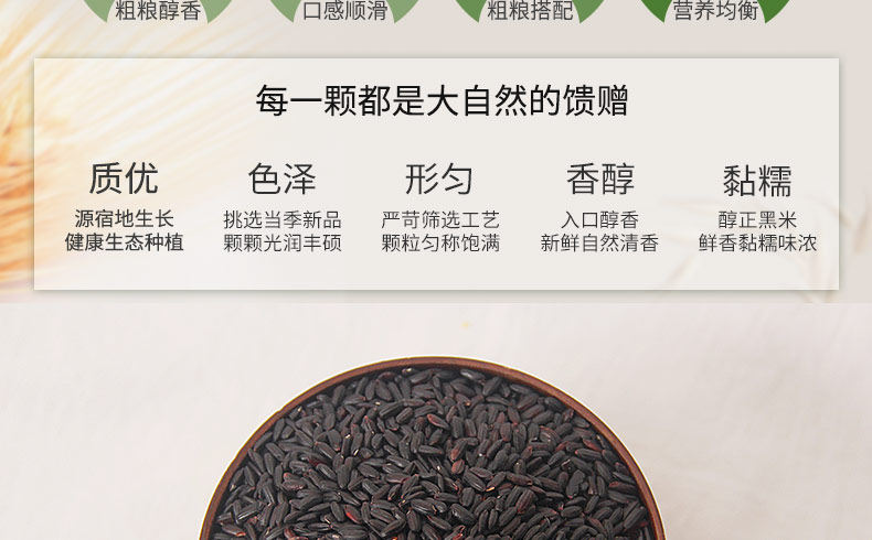 Black Rice_10.jpg