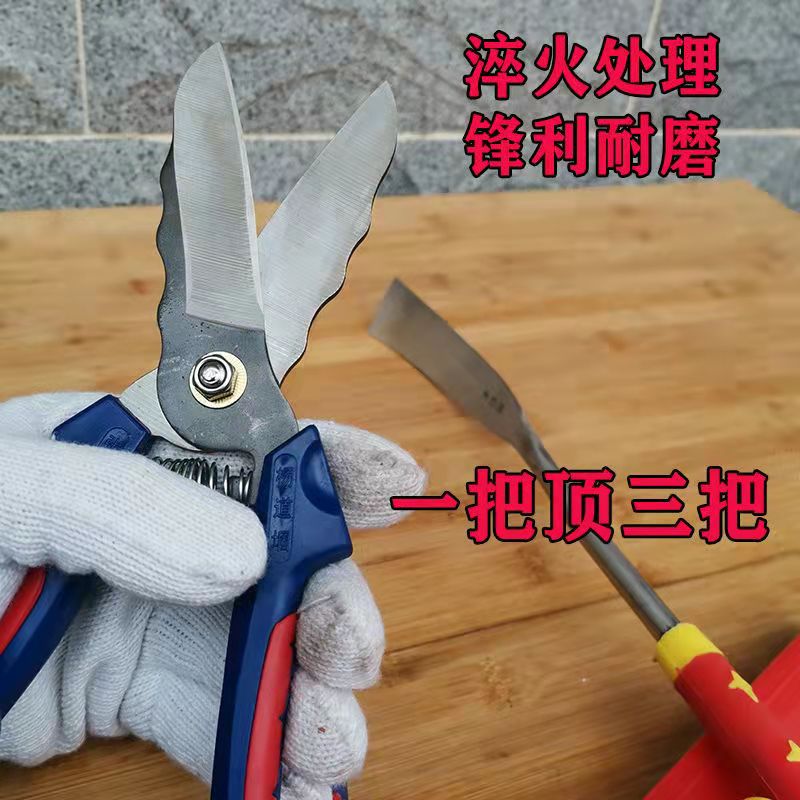 Boutique garlic Scissors Garlic Hair garlic Scissors Garlic Cut Garlic Sheen Cut garlic Divine Instrumental Gardening Scissors Floral Scissors