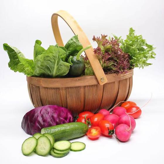 Vegetable Salad Vegetable Fresh Combination Package Fitness Mixed Western Salad Light Ingredients Raw Salad Lettuce
