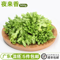 Evening fragrance fresh vegetables night fragrant flowers 500g Shunfeng soup omelette Evening Primrose