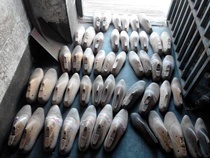 Folk collection of old wood shoe last a pile of shoes support shoe mold culture display old object shoe support a 39 yuan