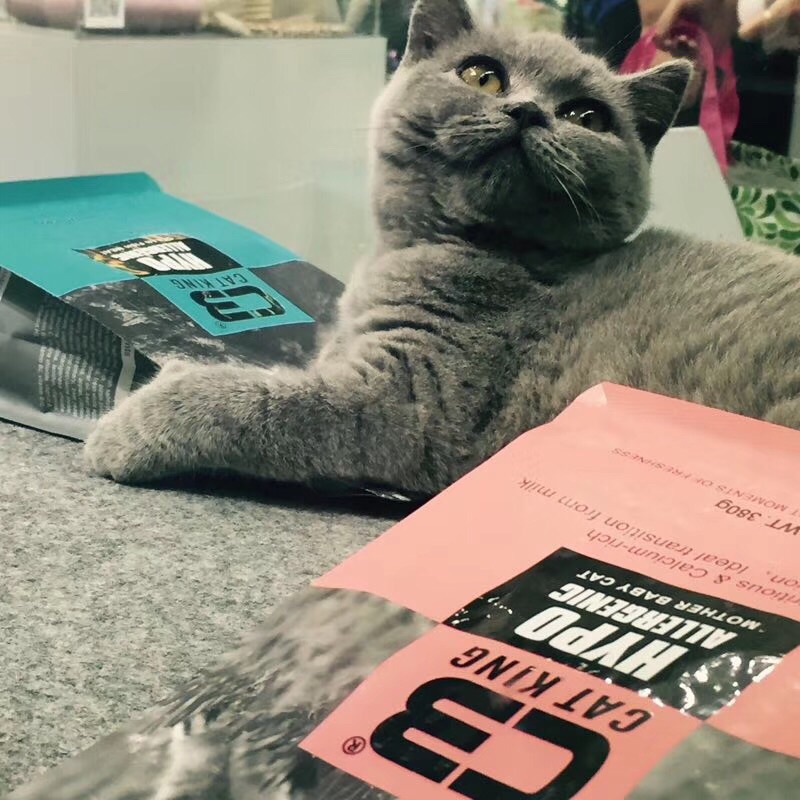 CatkingC3 thức ăn cho mèo có hương vị thịt bò 10kg thành một con mèo toàn thời gian thực phẩm kén chọn gói dịch vụ khách hàng bất ngờ - Gói Singular thức ăn cho mèo whiskas