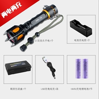 Два -электрическая и две зарядки [USB -кабельная зарядка+аккумулятор]]