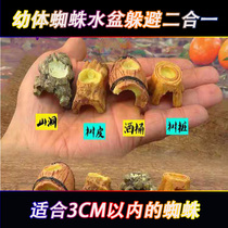 pa chong crawler si yang he small square box landscaping spiders scorpion escape basin two-in-one simple and practical