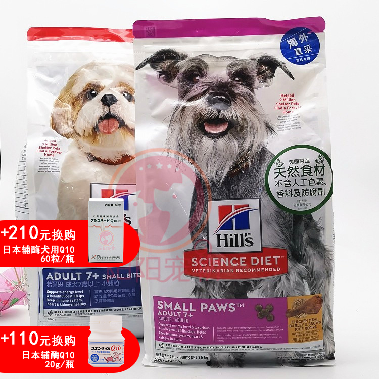 American Hill Shyls Small Dog Old Dog Old Dog Dog Eating Small Grain Large Dog Standard Grain