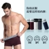 Nam đồ lót nam boxer sinh viên cotton phương thức băng lụa thoáng khí bốn điểm quần đầu mùa hè màu rắn phong cách