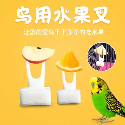 Bird fruit fork plastic parrot supplies bird cage accessories fork feeding Myrna General bird food fork