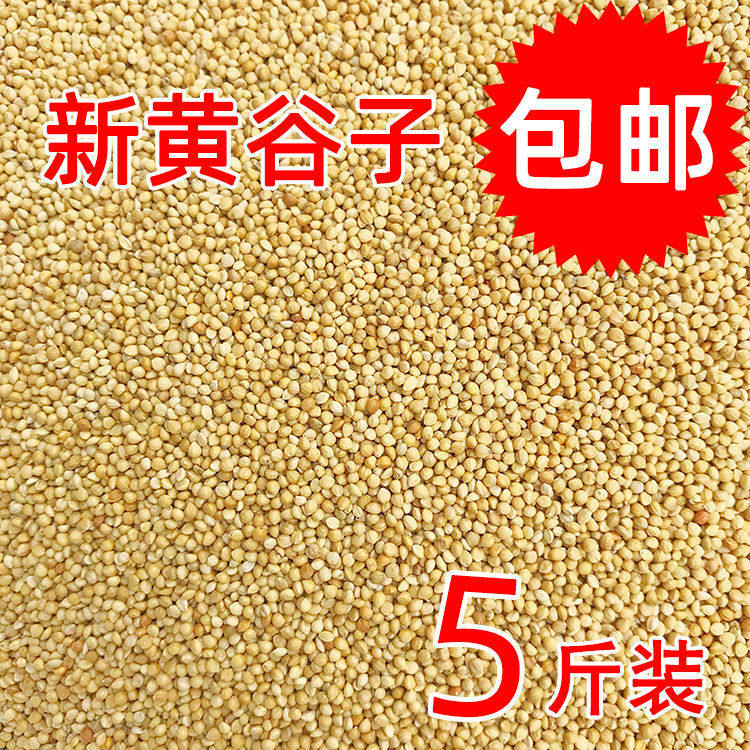 Yellow Valley Sub with shell millet millet Millet Tiger Leather Peony Parrot Peony Parrot Vin Bird Bird and Millet Bird Food 5 catties