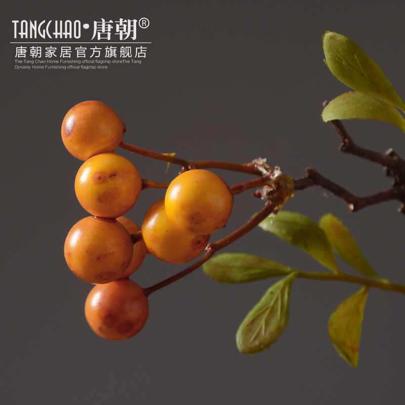 �Ƴ��Ҿ���Ʒ���滨QSG001