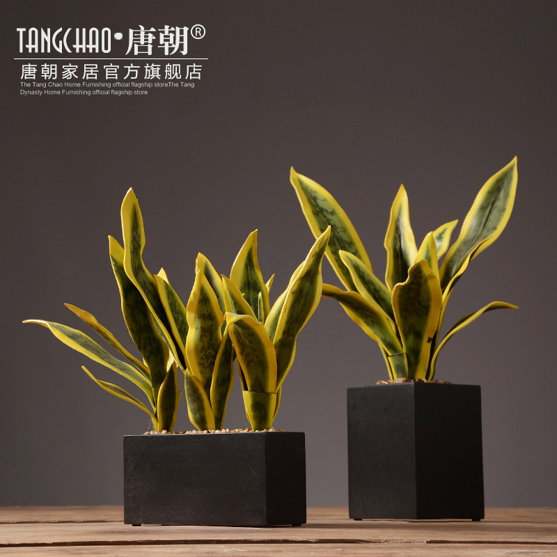 �Ƴ�ŷ���ڼ�