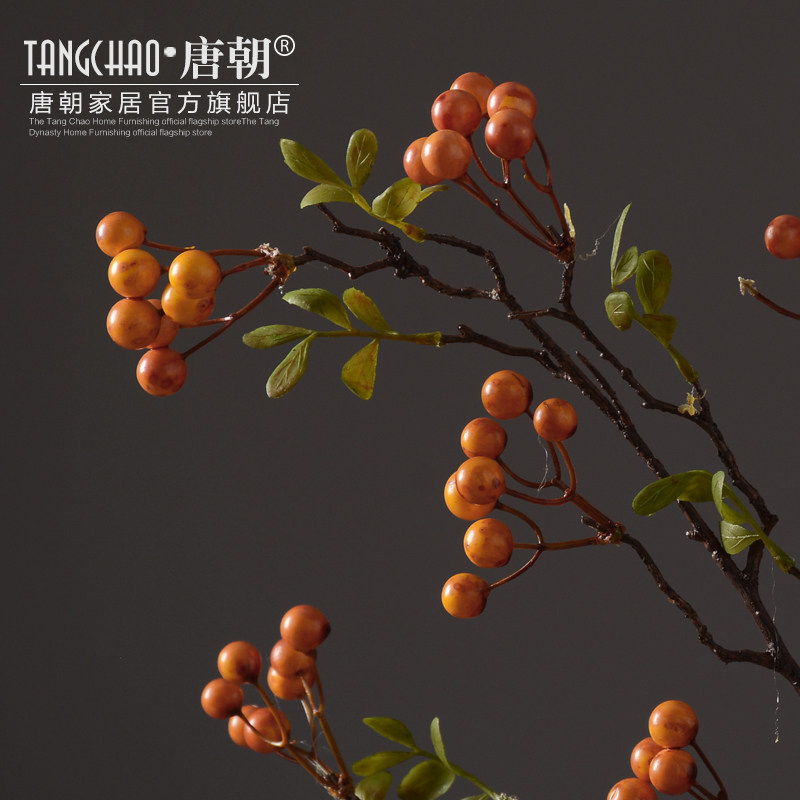 �Ƴ��Ҿ���Ʒ���滨QSG001