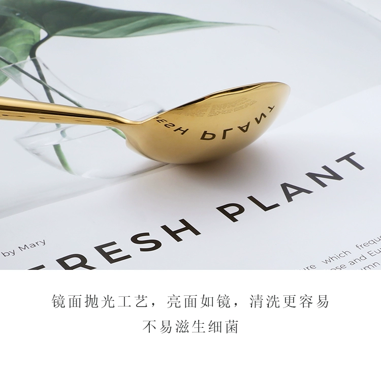 Bộ nĩa và muỗng phong cách châu Âu tươi sáng Bộ dao bít tết bằng thép không gỉ 304 và nĩa hai bộ đồ ăn dày tay cầm cao cấp - Đồ ăn tối khay gỗ đựng thức ăn
