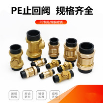 PE pipe Brass Check valve 4 6 minutes 1 inch horizontal check valve inner and outer wire water pipe check valve DN15 20 25