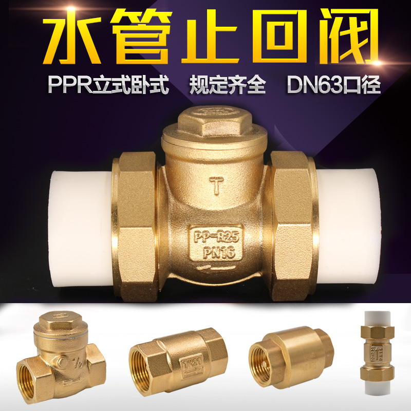 PPR water pipe check valve 4 minutes 6 minutes 1 inch PE double living horizontal check valve internal and external wire water meter vertical check valve