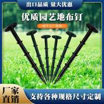 Anti-grass cloth nail weeding cloth nail Orchard black plastic ground nail greenhouse film Nail Garden ground nail factory