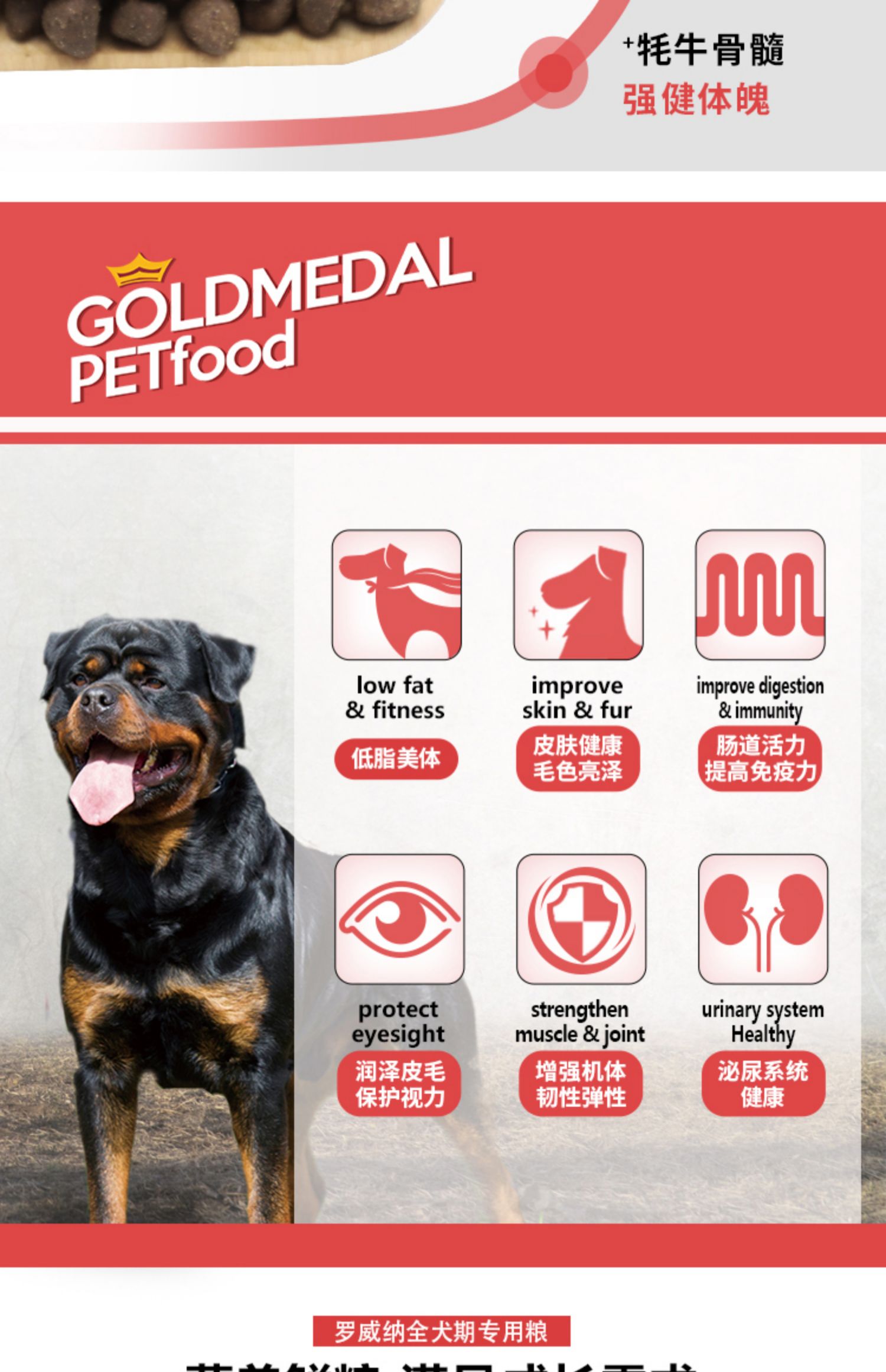 Huy chương vàng Rottweiler Hạt đặc biệt 10kg Thức ăn cho chó trưởng thành Chó lớn Chó con Thức ăn cho chó tuyết Núi ưa thích Thực phẩm tự nhiên - Chó Staples đồ ăn của chó