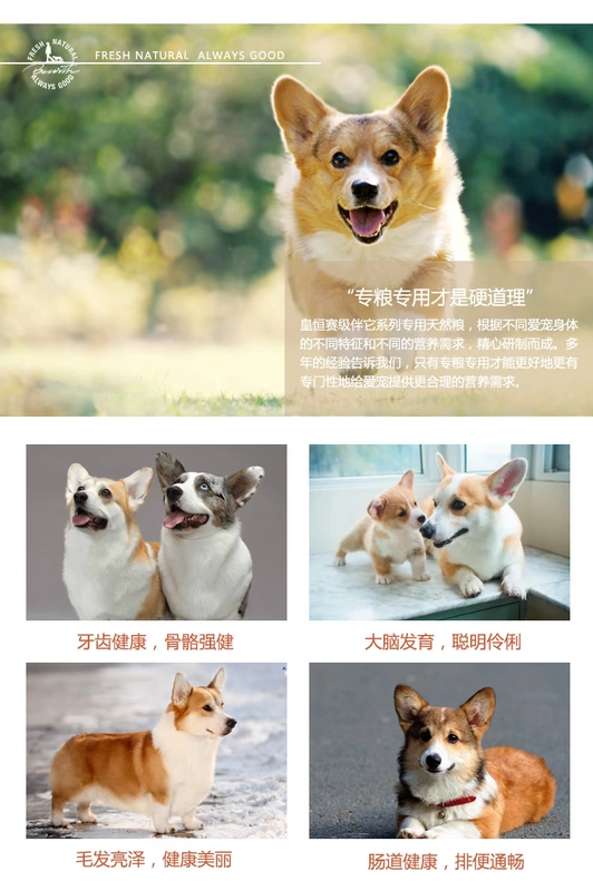 Shot 1 tặng 3 Wong Heng với Corgi hạt tự nhiên của nó Đối với chó dành cho người lớn vừa và nhỏ chủ yếu 20 pound hơn vận chuyển tỉnh