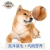 Akita Inu Chihuahua Chó trưởng thành Thức ăn cho chó Chó đặc biệt Thức ăn chính 5kg Chó vườn Trung Quốc Chó nhỏ và vừa Thực phẩm tự nhiên