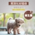 Wilson cười toe toét tự nhiên hạt nhỏ chó VIP Teddy chó con chó thức ăn cho chó thức ăn chính 5kg thức ăn chó Chó Staples