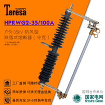 HPRWG2-35 100A outdoor 35kV high voltage windproof dropout fuse Lingke switch for wind power