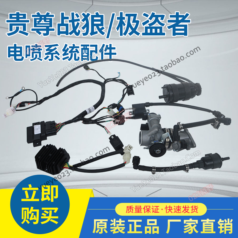 Guizun Geist Zhan Langguo four EFI off-road locomotive accessories cable electrical ECU gasoline pump nozzle - Taobao