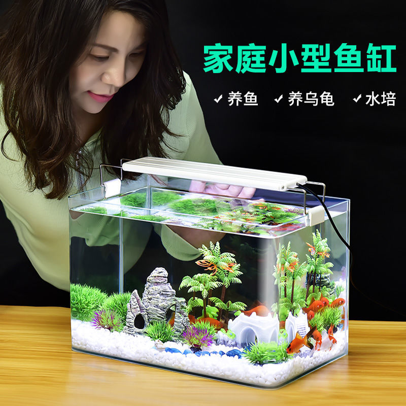 Exquisite small fish tank 2021 new modern light luxury living room home simple high-end small desktop net red creative