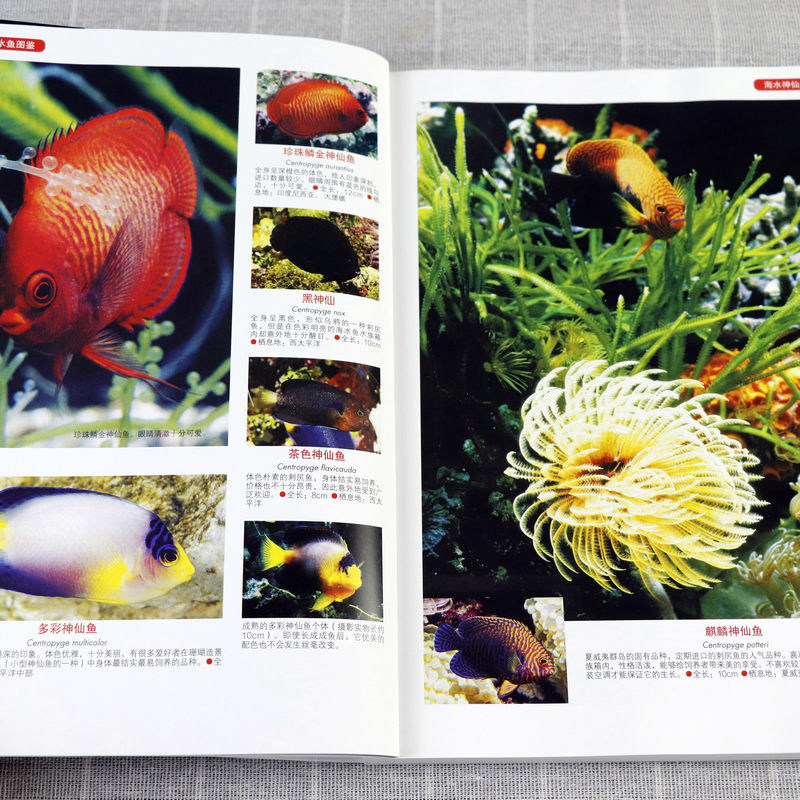 [USD 64.04] 3 volumes of world seawater fish graphics Tropical fish ...