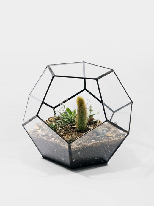 Hot sale European geometric dodecahedral glass flower house transparent creative green plant fleshy flowerpot moss micro landscape