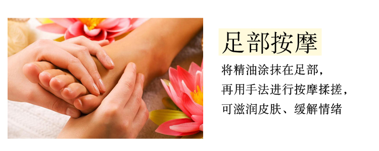 Gừng tinh dầu gây sốt cơ thể dầu thông qua kinh tuyến chai lớn cạo dầu massage trở lại cơ thể thẩm mỹ viện - Tinh dầu điều trị tinh dầu long não