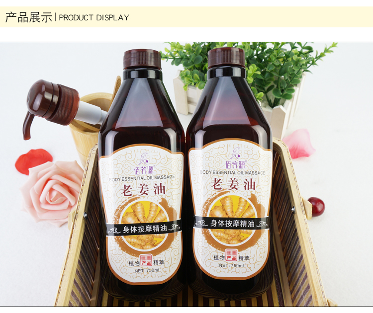 Gừng tinh dầu gây sốt cơ thể dầu thông qua kinh tuyến chai lớn cạo dầu massage trở lại cơ thể thẩm mỹ viện - Tinh dầu điều trị tinh dầu long não