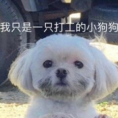 三只小白电器商城的LOGO