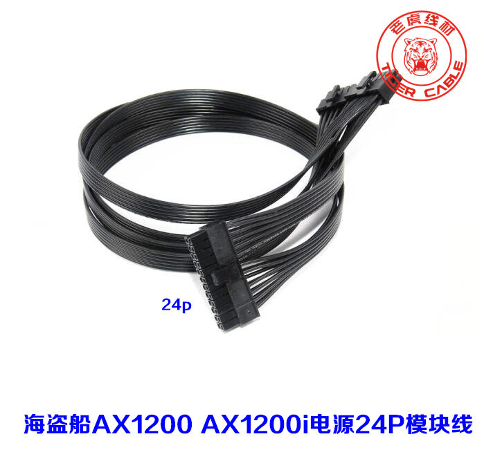 現貨 海盜船RM AX1200 AX1200I模組電源10Pin+14Pin轉24Pin供電線
