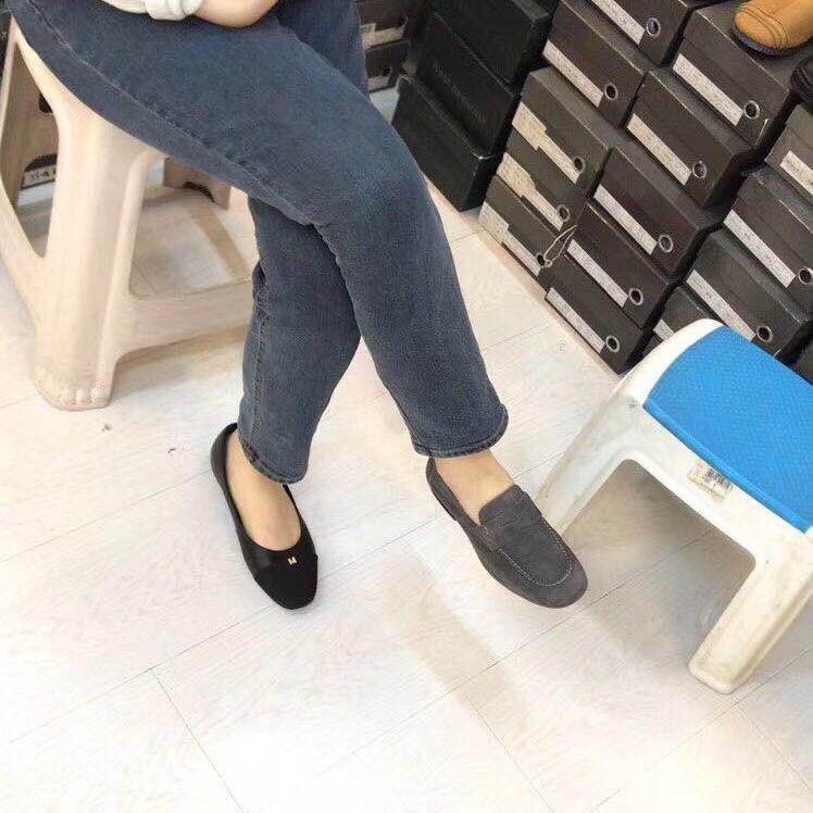 迪蓝图的LOGO