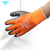  Multi-awesome freezer cold-proof antifreeze waterproof non-slip warm low-temperature-resistant cold storage labor insurance and wear-resistant cold storage gloves