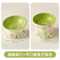 Комбинация косой рот + плоский рот зеленого кролика