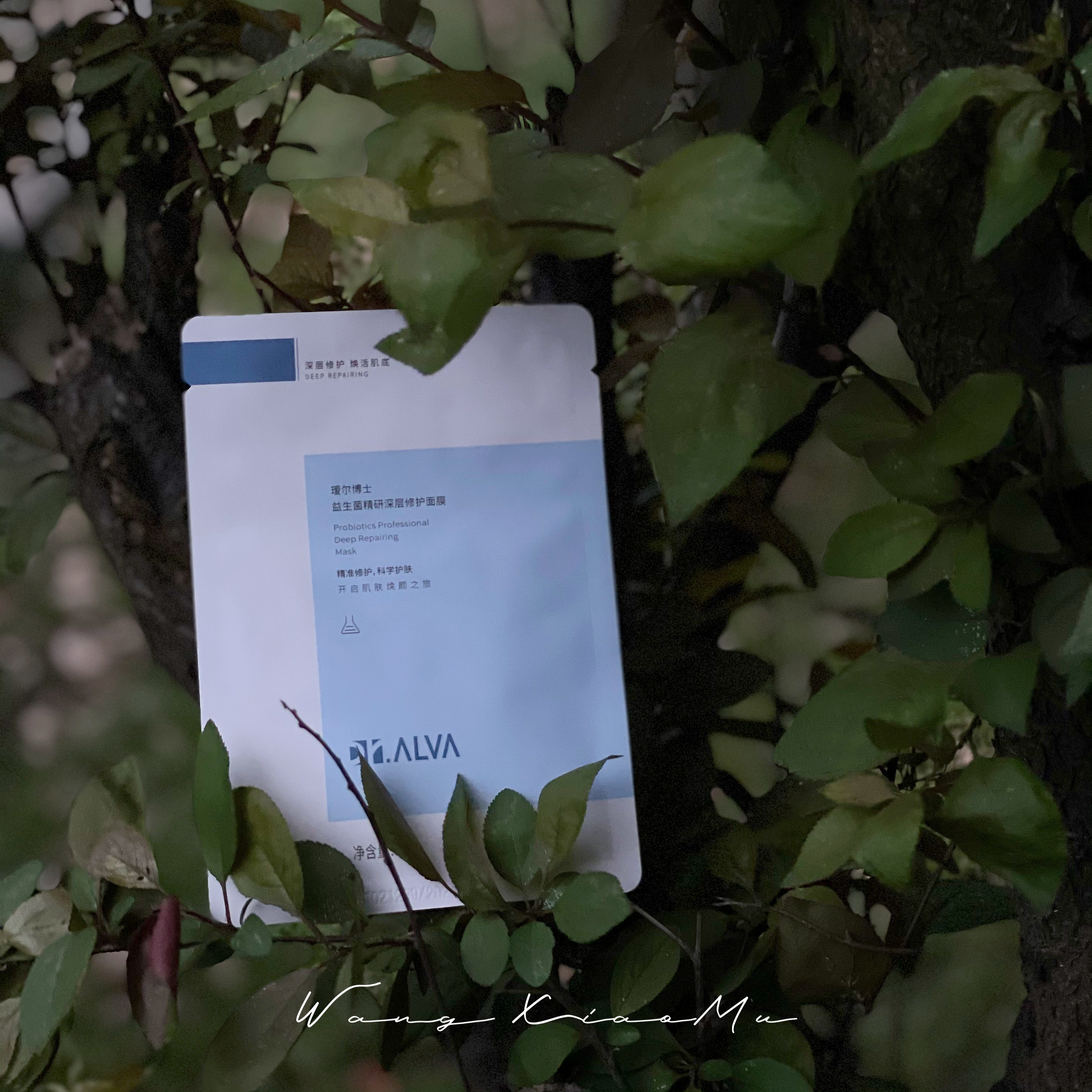 Dr. Yell's probiotic water replenishing mask a box of 10 pieces of a care stay up the night muscle-Taobao