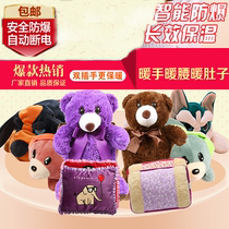 Cartoon double hand charging hot water bag cute plush safety explosion-proof water injection electric heating bag removable hand warmer