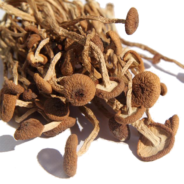 New Cargo Gutian Special Class Tea Tree Mushrooms Dry Goods 250g Pure Natural No Pesticides Without Mixing Water