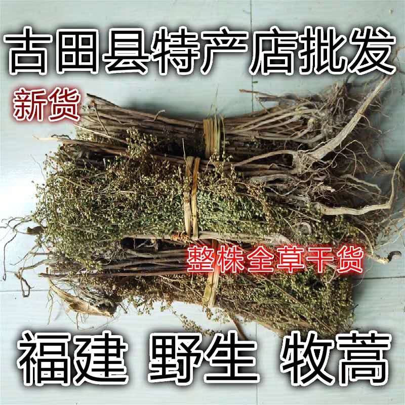 Natural Artemisia Muscat, Qitou Artemisia Oil Artemisia, Foot Artemisia Artemisia annua Flowing Urine Artemisia June Snow Bodian Head 500g
