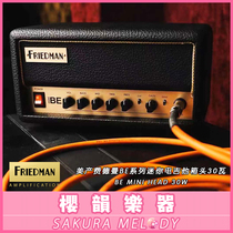Spot Friedman Mini BE Head mini electric guitar speaker head split 30 watt portable