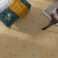 【Уникальный 05】 Meijia