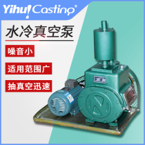 15 liter 30L screw-up sheet vacuum pump water cooling vacuum pump Bring your own silencer noise casting machine mixer