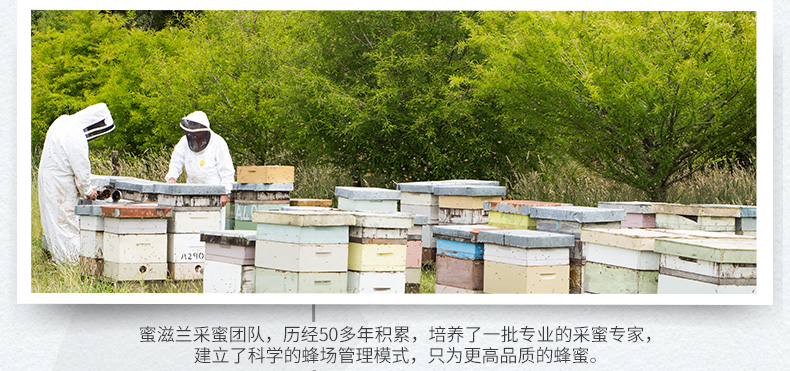 新西兰原装 蜜滋兰 百花蜜 500g 3万评价4.9高分 图6