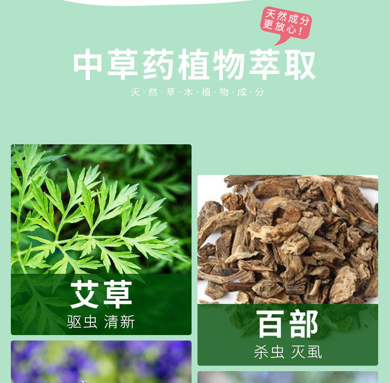 天然植物中草药除螨包 6袋 图2