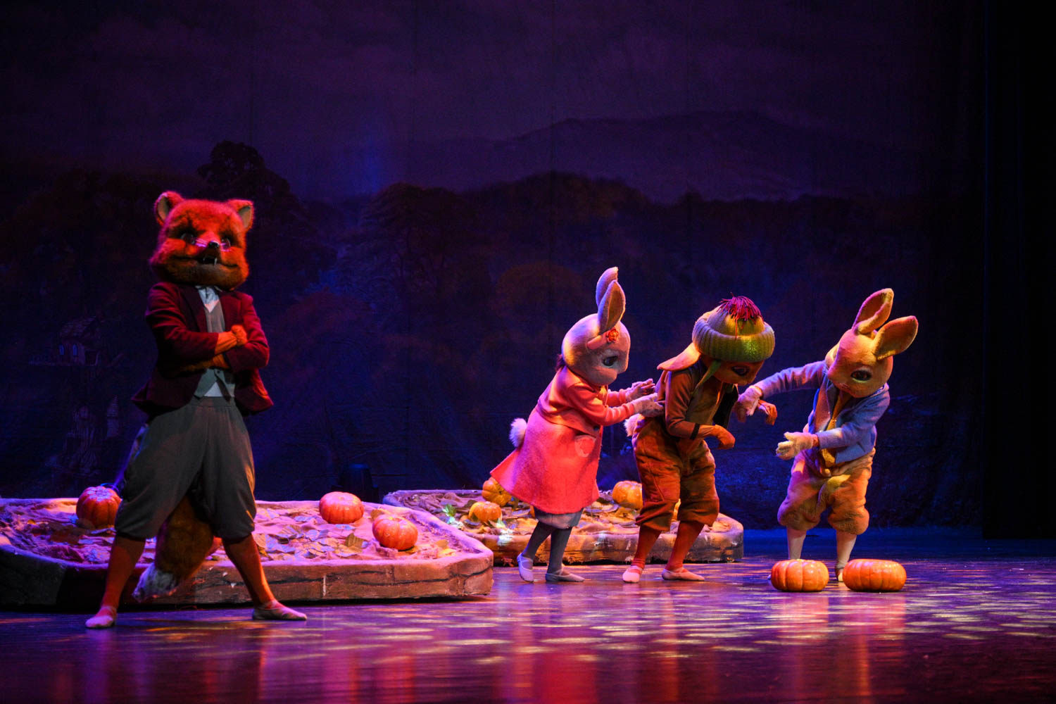 英国百年动漫经典芭蕾舞剧《比得兔之动物狂欢夜》