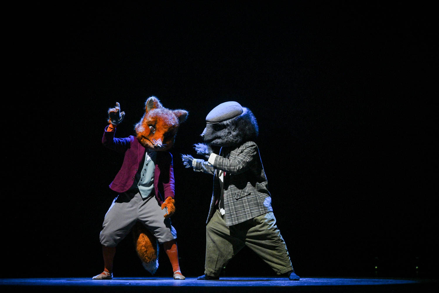 英国百年动漫经典芭蕾舞剧《比得兔之动物狂欢夜》