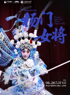 秦腔经典传统剧《杨门女将》