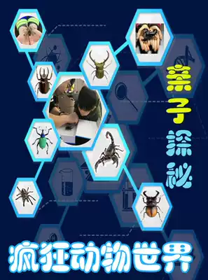 (Parent-child) Explore the crazy animal world to make insect specimens