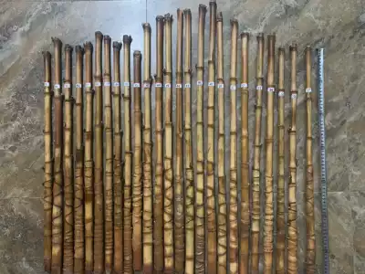 New to Luohan, Zhu, Jinghu, Baizi, Jinghu, Huqin, Erhu, Tortoise, Jinghu, Xipi, Erhuang